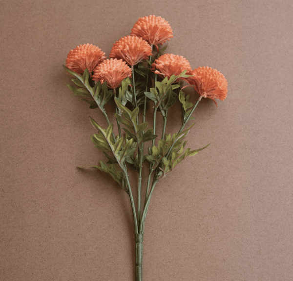 Orange Dahlias